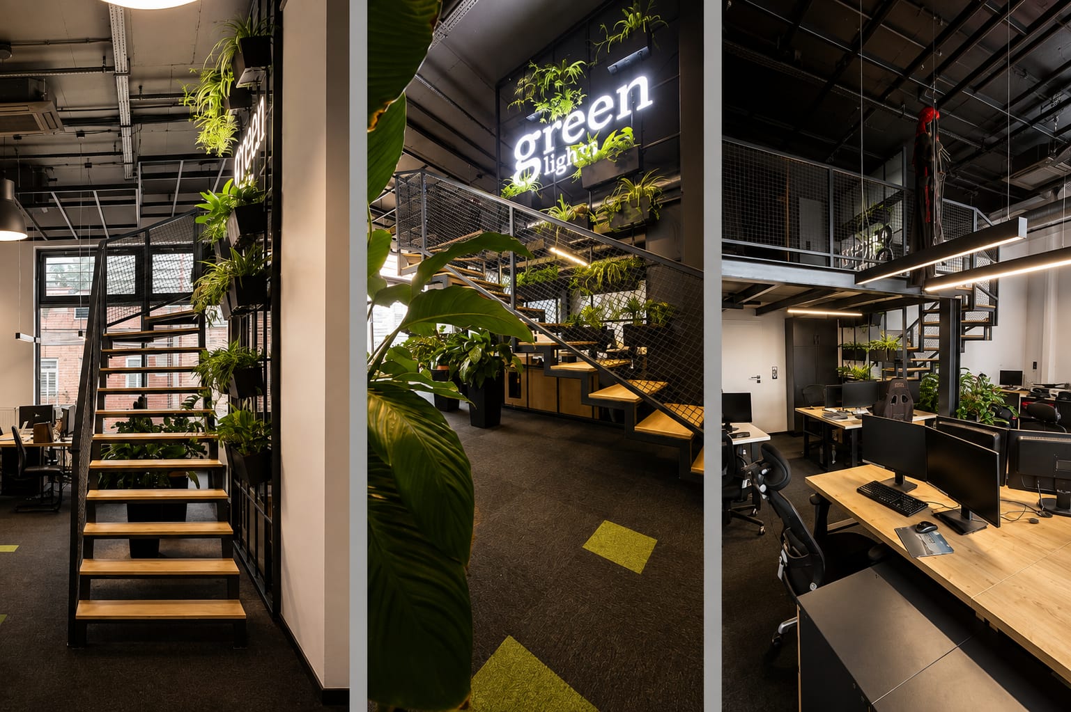 Siedziba Green Lights, biuro